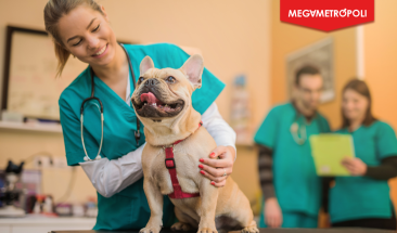 D&iacute;a del veterinario peruano