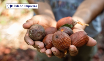 Ideas de negocios sostenibles de comunidades nativas ser&aacute;n financiadas con fondo de conservaci&oacute;n de m&aacute;s doce millones de soles