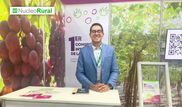 Provid: avances y desaf&iacute;os del sector exportador de uvas