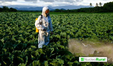 Senasa sigue trabajando para mejorar la calidad de exportaci&oacute;n