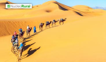 5 destinos para conocer sin visa