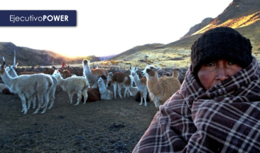 Sector Ambiente est&aacute; en alerta permanente ante heladas y friajes