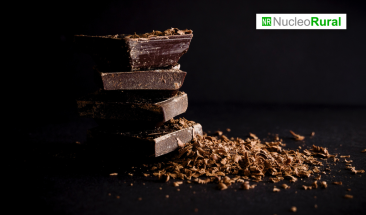 &iquest;Qu&eacute; pa&iacute;ses lideran la exportaci&oacute;n e importaci&oacute;n de chocolate?