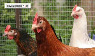 Municipalidad San Bartolo y Arba se re&uacute;nen con emprendedores locales para conformar una ruta tur&iacute;stica sostenible y amigable con los animales y medio ambiente