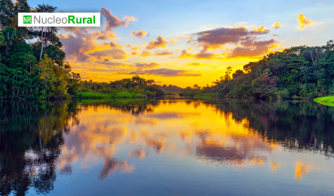 Inversiones en bionegocios impulsar&aacute;n el desarrollo de la Amazon&iacute;a peruana