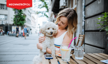 Planes petfriendly para celebrar el D&iacute;a Internacional del Perro