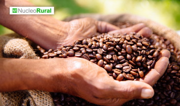 Productos &eacute;ticos y sostenibles arrasan en ventas globales