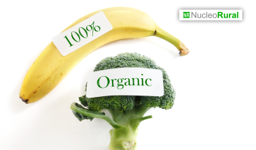 Per&uacute; logra cifras r&eacute;cord en exportaci&oacute;n de productos org&aacute;nicos