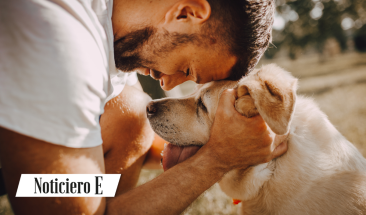 21 de julio: D&iacute;a del Perro &iexcl;Celebremos todos juntos al "mejor amigo del hombre"!