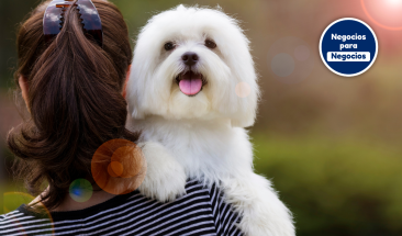 D&iacute;a Mundial del Perro: cinco cuidados imprescindibles para su bienestar