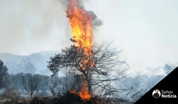35 vidas perdidas por ola de calor en el Mediterr&aacute;neo