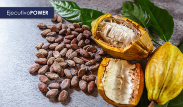 Con grandes expectativas se inaugur&oacute;  la segunda edici&oacute;n de la Feria Chokao 2023