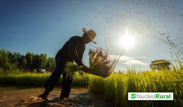 Datos sobre la distribuci&oacute;n de los agricultores peruanos