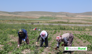 Gran parte de la econom&iacute;a rural de Colombia se desploma