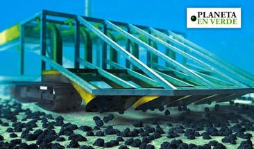 Miner&iacute;a submarina en M&eacute;xico: Un desastre ambiental en puerta