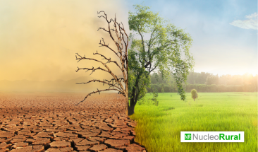 El cambio clim&aacute;tico est&aacute; afectando nuestra alimentaci&oacute;n