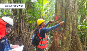 SERFOR implementa plan de acci&oacute;n para la inclusi&oacute;n del Shihuahuaco y del Tahuar&iacute; en el Ap&eacute;ndice II de la CITES