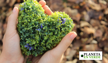 Una vida consciente de tu huella ecol&oacute;gica