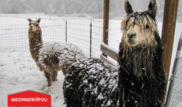 DANA Esther llega a Per&uacute; durante Fiestas Patrias, expertos advierten impacto en diversas regiones
