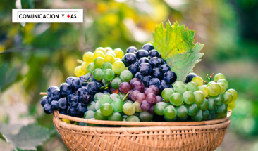 PROVID anuncia el primer Congreso internacional de la uva de mesa