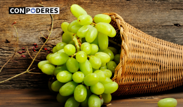 PROVID anuncia el primer Congreso internacional de la uva de mesa