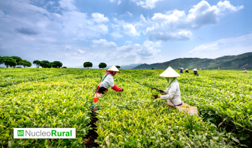 &iquest;Qu&eacute; suceder&aacute; en el futuro a la agricultura global?