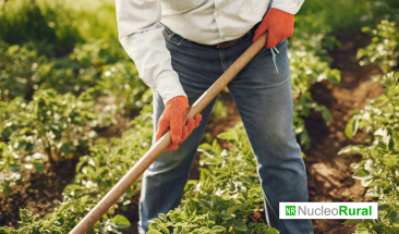 &iquest;Qu&eacute; es la agricultura sostenible?