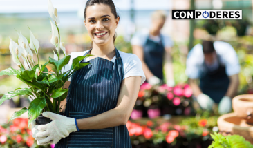 Impulsa tu nuevo emprendimiento con cinco estrategias de marketing digital efectivas