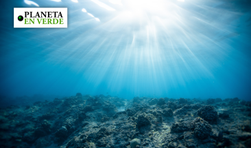 Buscan conocer mejor los oc&eacute;anos con ayuda de la tecnolog&iacute;a