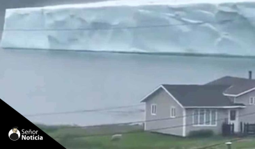 Enorme iceberg aparece en Terranova, Canad&aacute;