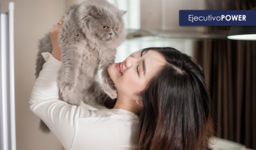 D&iacute;a del Gato y principales cuidados