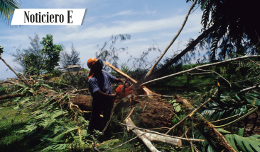 Loreto: fortalecen a la Mesa Regional de Control y Vigilancia Forestal y de Fauna Silvestre