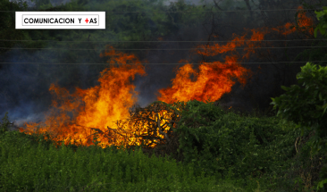 Per&uacute;: conoce las causas y consecuencias de los incendios forestales en nuestro pa&iacute;s