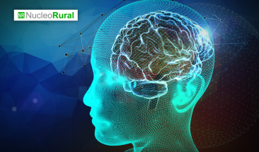 Neurociencia e inteligencia artificial: &iquest;c&oacute;mo impactan en el consumidor digital?