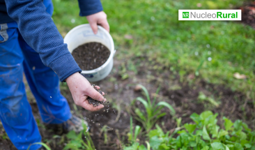 Fertilizantes para el bienestar: un impulso a la agricultura en M&eacute;xico