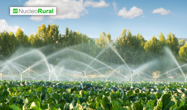 Soluci&oacute;n para el sistema de riego