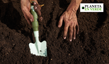 &iquest;C&oacute;mo elegir el sustrato correcto para mis cultivos?