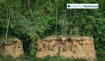Cooperaci&oacute;n alemana donar&aacute; 25 millones de euros para fortalecer la gesti&oacute;n de las &aacute;reas naturales protegidas del Per&uacute;