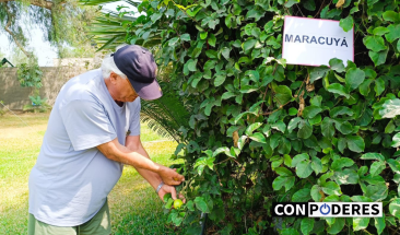 MIMP promueve instalaci&oacute;n de biohuertos para la estimulaci&oacute;n cognitiva y f&iacute;sica de las personas adultas mayores del Inabif