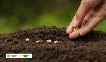 Breeding, la tecnolog&iacute;a que marca la diferencia
