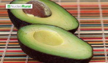 AGAP y ProHass siembran &aacute;rbol de palta Hass en instalaciones del Proyecto Especial Legado