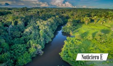MINAM ejecutar&aacute; proyecto para conservar los ecosistemas silvestres de nuestra Amazon&iacute;a