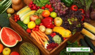 &iquest;Qu&eacute; pa&iacute;ses consumen m&aacute;s frutas y verduras?