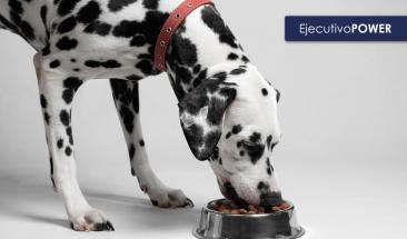 Una nueva era en la alimentaci&oacute;n canina: una fusi&oacute;n nutritiva de tres fuentes proteicas en un &uacute;nico alimento