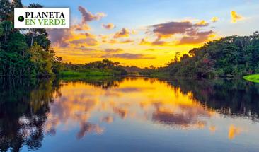 Ecuador decide evitar la extracci&oacute;n de petr&oacute;leo en la Amazon&iacute;a