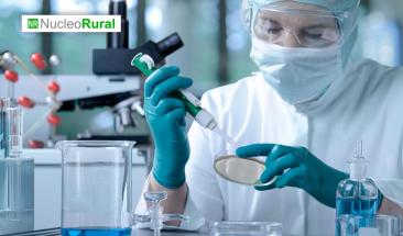 Ganader&iacute;a del futuro: carne cultivada en laboratorio