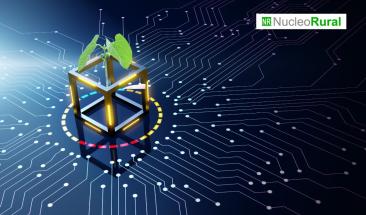 Conoce a Green Cycle y c&oacute;mo usa la tecnolog&iacute;a blockchain para promover la agroexportaci&oacute;n sostenible de productos peruanos a todo el mundo