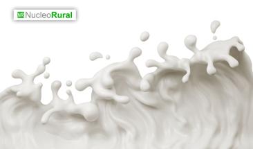 MSD Animal Health lanza en Per&uacute; la l&iacute;nea de Sistema Inteligente de Orde&ntilde;o y Monitoreo de Animales, que permitir&aacute; mejorar los par&aacute;metros productivos y reproductivos en la industria l&aacute;ctea