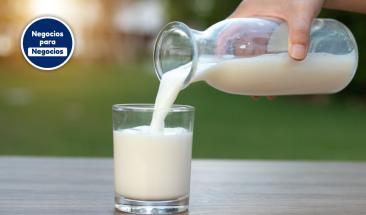 MSD Animal Health lanza en Per&uacute; la l&iacute;nea de Sistema Inteligente de Orde&ntilde;o y Monitoreo de Animales, que permitir&aacute; mejorar los par&aacute;metros productivos y reproductivos en la industria l&aacute;ctea