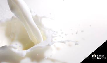 MSD Animal Health lanza en Per&uacute; la l&iacute;nea de Sistema Inteligente de Orde&ntilde;o y Monitoreo de Animales, que permitir&aacute; mejorar los par&aacute;metros productivos y reproductivos en la industria l&aacute;ctea